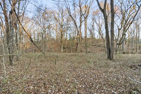 3855 Baggett Rd, Springfield, TN 37172 photo 41