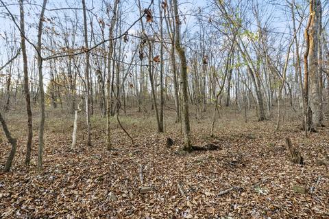 3855 Baggett Rd, Springfield, TN 37172 photo 42