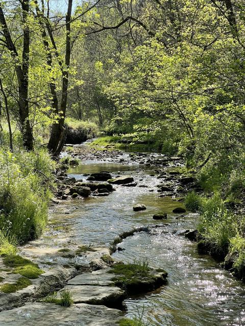 0 Massey Hollow Ln, Dixon Springs, TN 37057