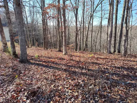 29 Shiloh Ln, Smithville, TN 37166
