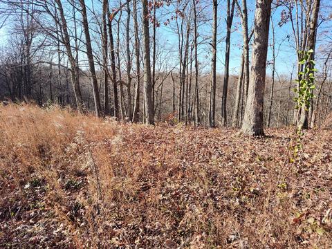 28 Shiloh Ln, Smithville, TN 37166