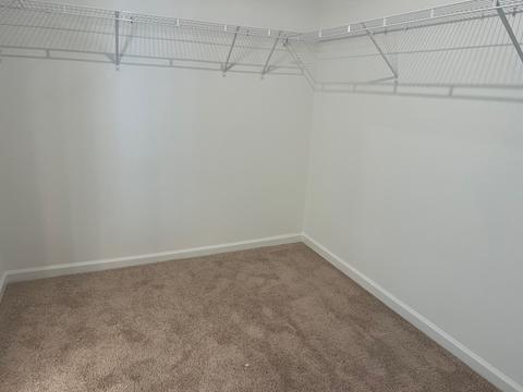 3613 Capstone Dr, Murfreesboro, TN 37128 photo 16