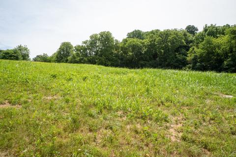 1023 Santee Ct, Springfield, TN 37172 photo 24