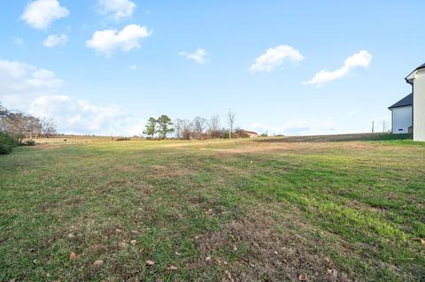 3202 Marthas Chapel Rd, Cunningham, TN 37052 photo 53