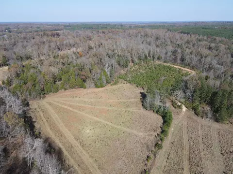 0 Mcearl Rd, Huron, TN 38345 photo 4