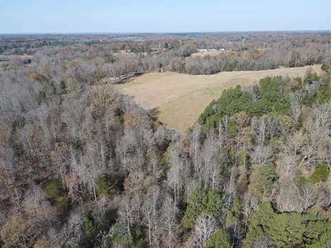 0 Mcearl Rd, Huron, TN 38345 photo 6