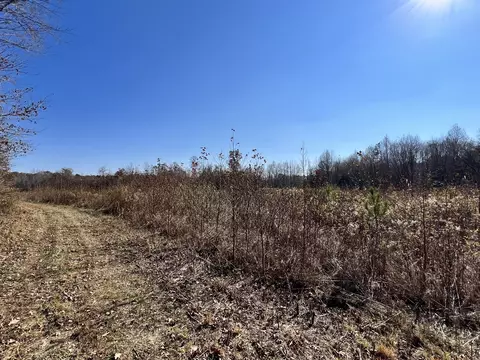 0 Mcearl Rd, Huron, TN 38345 photo 21