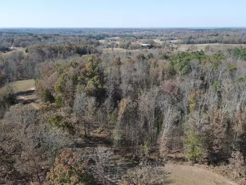 0 Mcearl Rd, Huron, TN 38345 photo 14