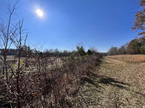 0 Mcearl Rd, Huron, TN 38345 photo 26