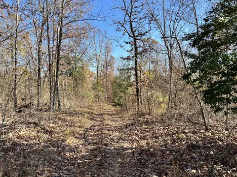 0 Mcearl Rd, Huron, TN 38345 photo 34