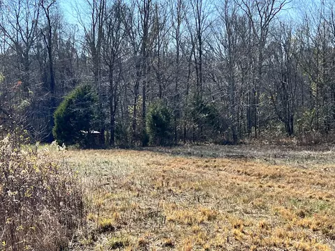 0 Mcearl Rd, Huron, TN 38345 photo 20