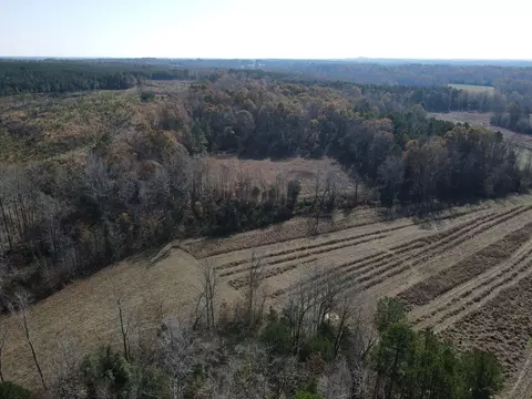 0 Mcearl Rd, Huron, TN 38345 photo 9