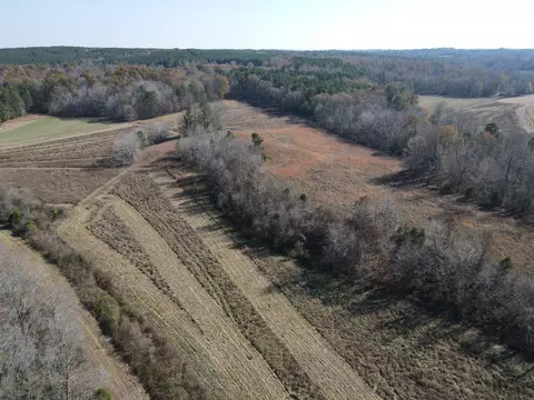 0 Mcearl Rd, Huron, TN 38345 photo 2