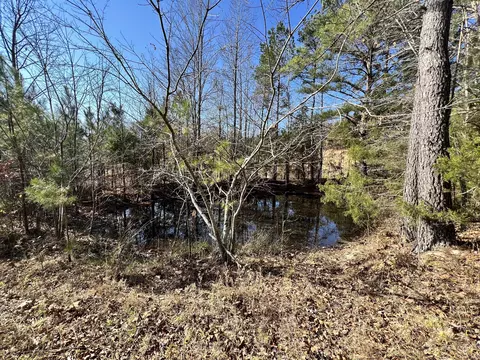 0 Mcearl Rd, Huron, TN 38345 photo 28