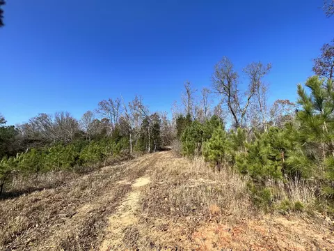0 Mcearl Rd, Huron, TN 38345 photo 30