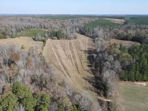 0 Mcearl Rd, Huron, TN 38345 photo 7