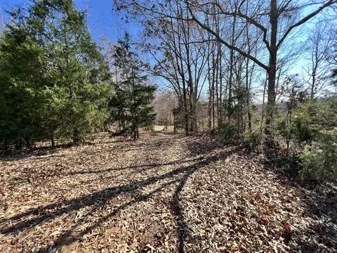 0 Mcearl Rd, Huron, TN 38345 photo 16