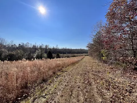 0 Mcearl Rd, Huron, TN 38345 photo 23