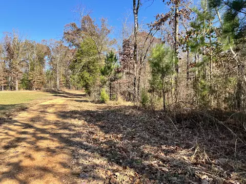 0 Mcearl Rd, Huron, TN 38345 photo 33