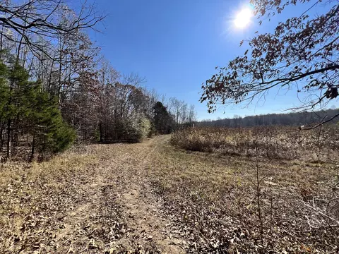 0 Mcearl Rd, Huron, TN 38345 photo 18