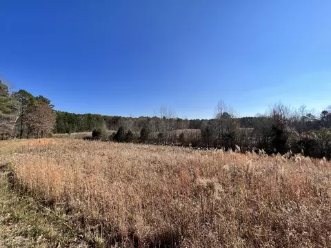0 Mcearl Rd, Huron, TN 38345 photo 24