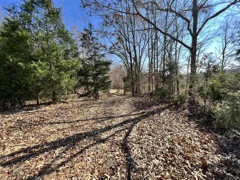 0 Mcearl Rd, Huron, TN 38345 photo 39