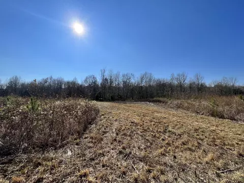 0 Mcearl Rd, Huron, TN 38345 photo 19