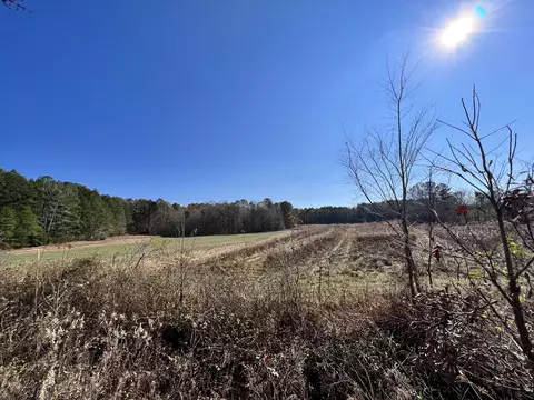 0 Mcearl Rd, Huron, TN 38345 photo 25