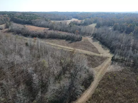 0 Mcearl Rd, Huron, TN 38345 photo 3