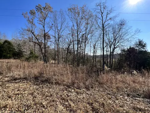 0 Mcearl Rd, Huron, TN 38345 photo 38