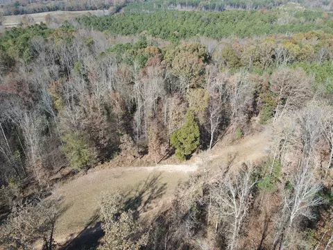 0 Mcearl Rd, Huron, TN 38345 photo 11