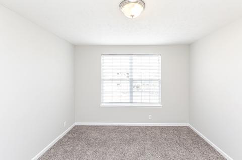 3317 Risen Star Dr, Murfreesboro, TN 37128 photo 30