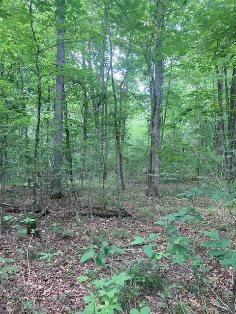 550 Floyd Ln, Decherd, TN 37324 photo 8
