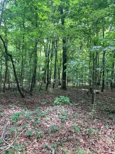 550 Floyd Ln, Decherd, TN 37324 photo 15
