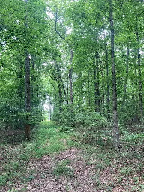 550 Floyd Ln, Decherd, TN 37324 photo 13