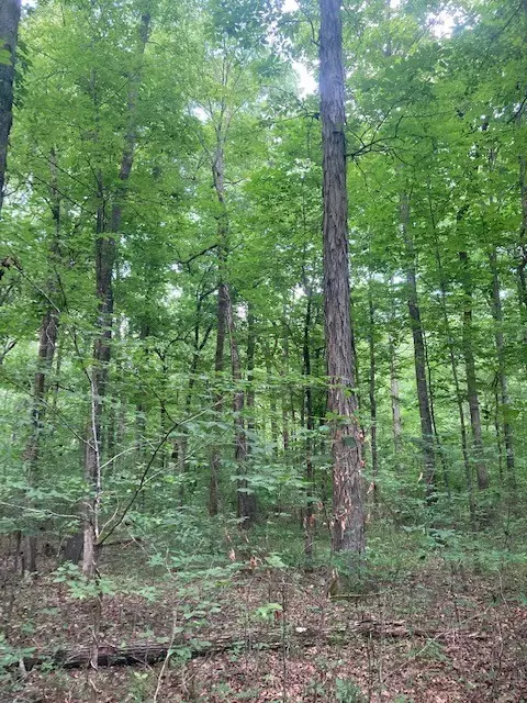550 Floyd Ln, Decherd, TN 37324 photo 11