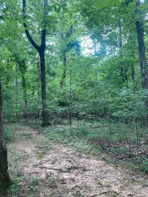 550 Floyd Ln, Decherd, TN 37324 photo 7