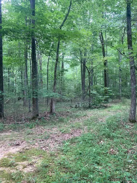 550 Floyd Ln, Decherd, TN 37324 photo 6