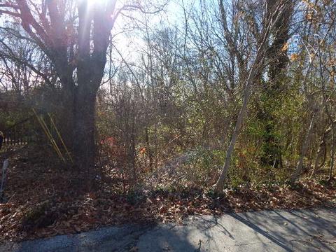 0 Mt Leo Heights St, Mcminnville, TN 37110