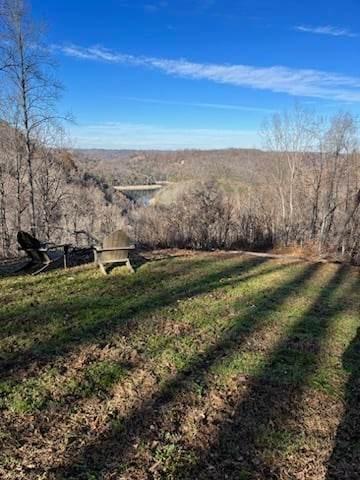 174 Dogwood Pl, Smithville, TN 37166