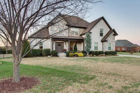 915 Wellspring Ct, Murfreesboro, TN 37130 photo 3
