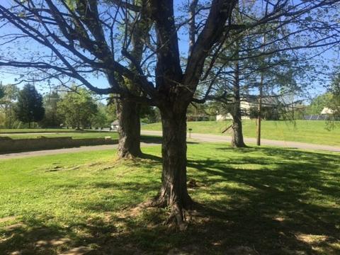 107 Kinneys Rd, Springfield, TN 37172 photo 6
