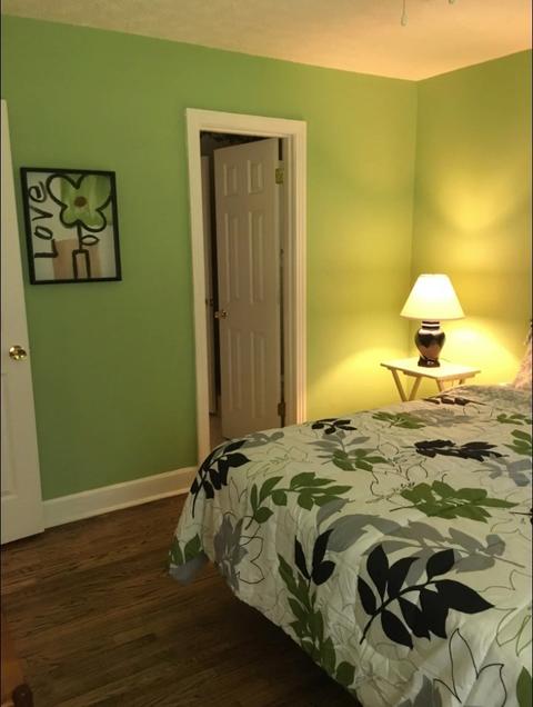 107 Kinneys Rd, Springfield, TN 37172 photo 16