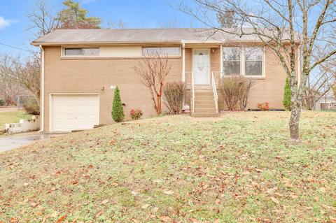 8222 Luree Ln, Hermitage, TN 37076 photo 6