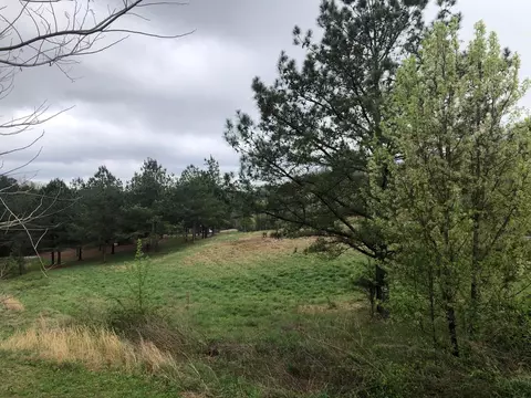 1483 Sloan Gap Rd, Ocoee, TN 37361 photo 4