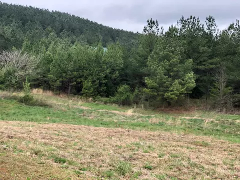 1483 Sloan Gap Rd, Ocoee, TN 37361 photo 12