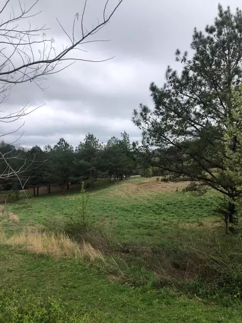 1483 Sloan Gap Rd, Ocoee, TN 37361 photo 5