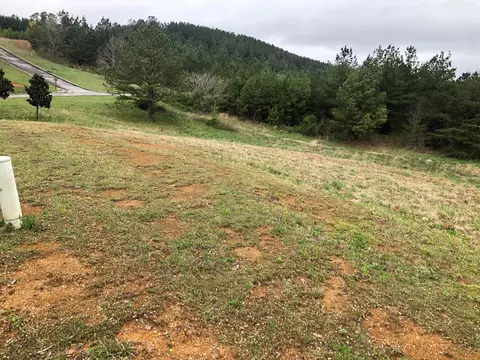 1483 Sloan Gap Rd, Ocoee, TN 37361 photo 9