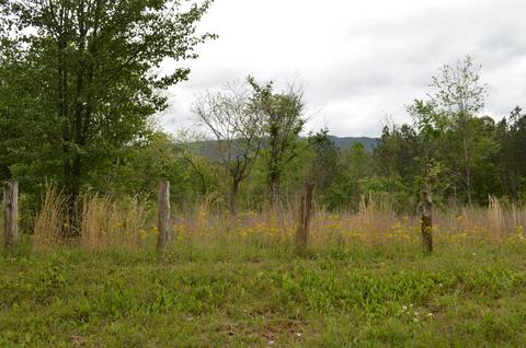 188 Bailey Rd, Benton, TN 37307 photo 1
