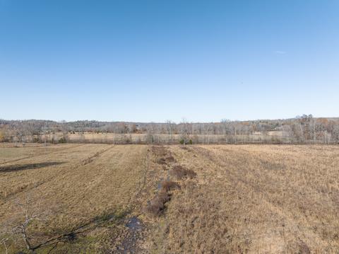 764 Briar Pond Rd, Centerville, TN 37033 photo 19